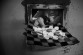 Mario Badagliacca – “Chessboard” (from “Lettere dal CIE” project)